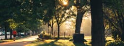 Save a local park before the decision is already made.