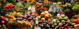 Capture surplus food before it becomes waste.