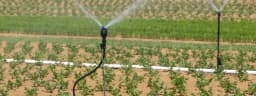 Switch to water-saving irrigation without betting the harvest.