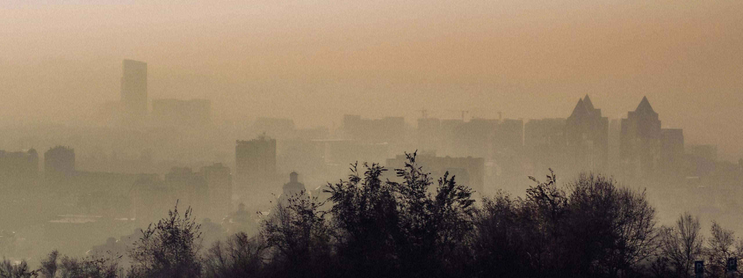 Locate where urban air pollution exposure peaks