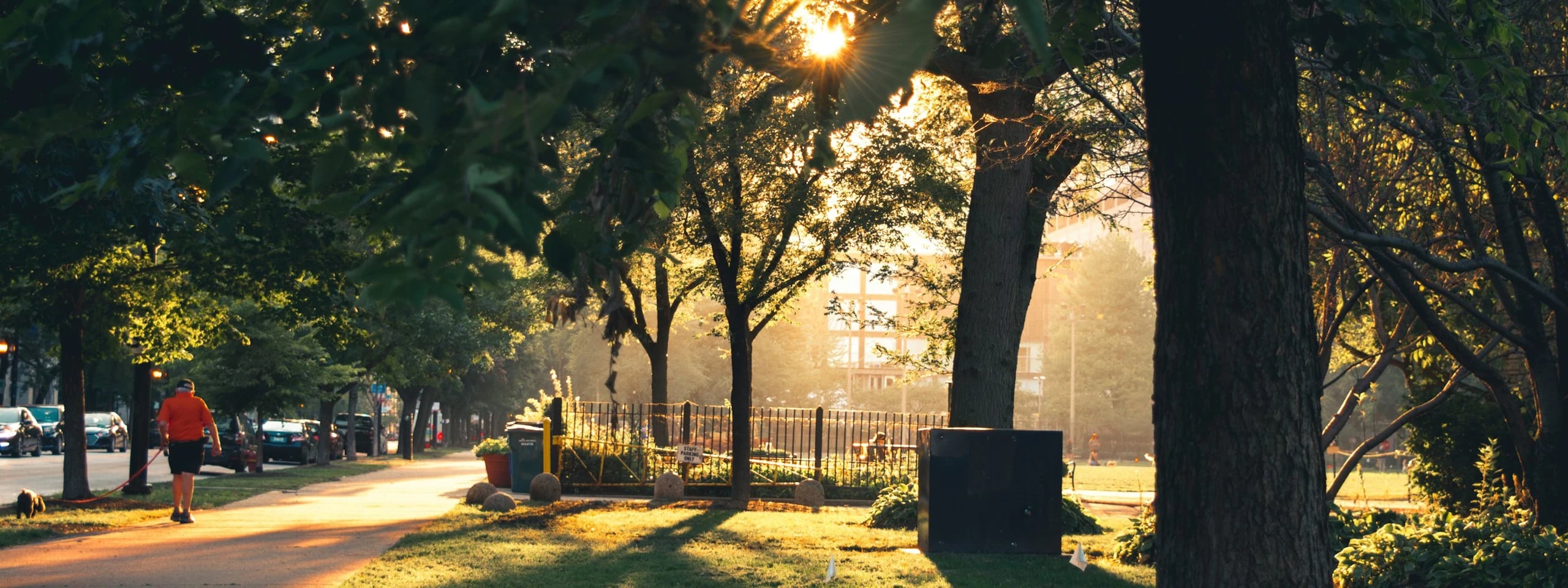 Save a local park before the decision is already made.